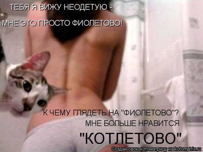 ТЕБЯ Я ВИЖУ НЕОДЕТУЮ - МНЕ ЭТО ПРОСТО ФИОЛЕТОВО! К ЧЕМУ ГЛЯДЕТЬ НА "ФИОЛЕТОВО"? МНЕ БОЛЬШЕ НРАВИТСЯ ... Котоматрица: ТЕБЯ Я ВИЖУ НЕОДЕТУЮ - МНЕ ЭТО ПРОСТО ФИОЛЕТОВО! К ЧЕМУ ГЛЯДЕТЬ НА "ФИОЛЕТОВО"? МНЕ БОЛЬШЕ НРАВИТСЯ "КОТЛЕТОВО"