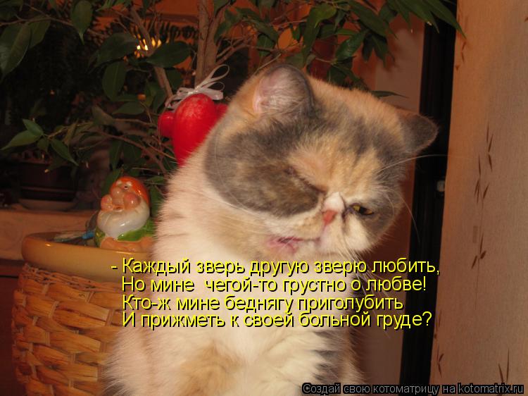 - Каждый зверь другую зверю любить, Но мине чегой-то грустно о любве! Кто-ж мине беднягу приголубить... Котоматрица: - Каждый зверь другую зверю любить, Но мине чегой-то грустно о любве! Кто-ж мине беднягу приголубить И прижметь к своей больной груде?