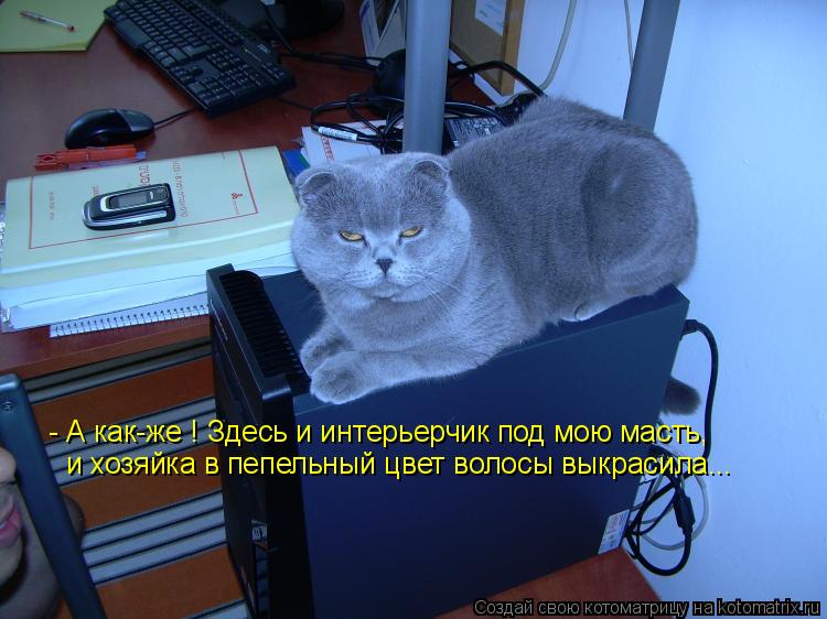 - А как-же ! Здесь и интерьерчик под мою масть, и хозяйка в пепельный цвет волосы выкрасила...... Котоматрица: - А как-же ! Здесь и интерьерчик под мою масть, и хозяйка в пепельный цвет волосы выкрасила...