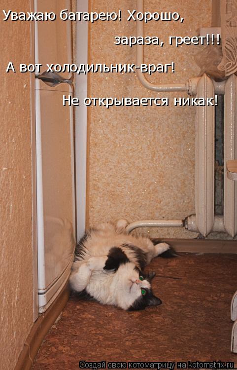 Уважаю батарею! Хорошо, зараза, греет!!! А вот холодильник-враг! Не открывается никак!... Котоматрица: Уважаю батарею! Хорошо, зараза, греет!!! А вот холодильник-враг! Не открывается никак!