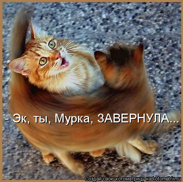 - Эк, ты, Мурка, ЗАВЕРНУЛА...... Котоматрица: - Эк, ты, Мурка, ЗАВЕРНУЛА...