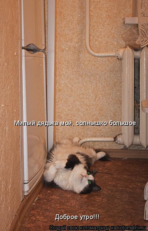 Милый дядька мой, солнышко большое Доброе утро!!!... Котоматрица: Милый дядька мой, солнышко большое Доброе утро!!!
