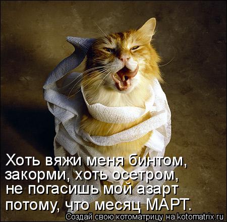 Хоть вяжи меня бинтом, закорми, хоть осетром, не погасишь мой азарт потому, что месяц МАРТ.... Котоматрица: Хоть вяжи меня бинтом, закорми, хоть осетром, не погасишь мой азарт потому, что месяц МАРТ.