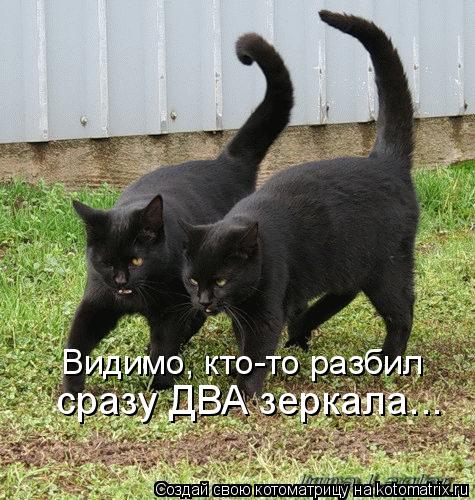 Видимо, кто-то разбил сразу ДВА зеркала...... Котоматрица: Видимо, кто-то разбил сразу ДВА зеркала...