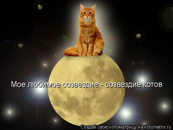 Мое любимое созвездие - созвездие котов... Котоматрица: Мое любимое созвездие - созвездие котов