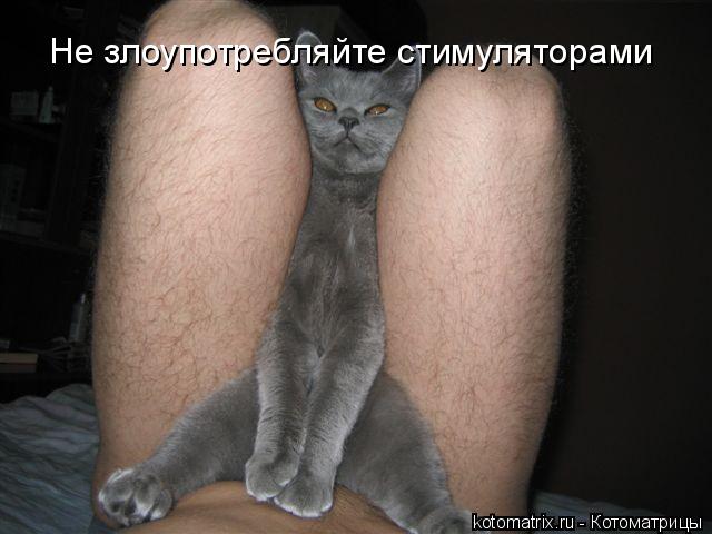 Не злоупотребляйте стимуляторами... Котоматрица: Не злоупотребляйте стимуляторами