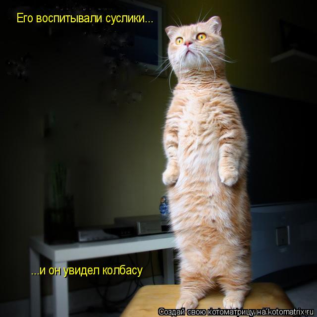 Его воспитывали суслики... ...и он увидел колбасу... Котоматрица: Его воспитывали суслики... ...и он увидел колбасу