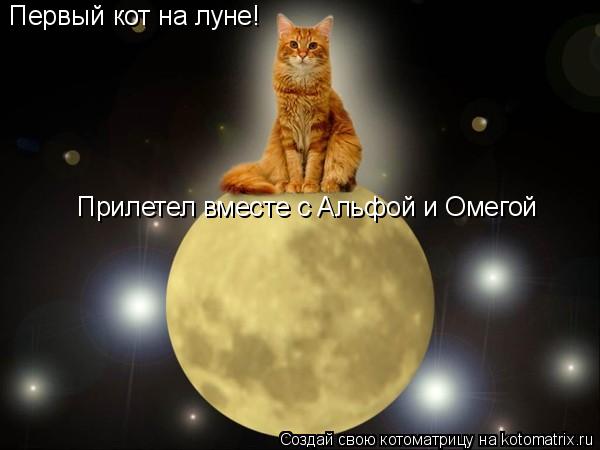 Первый кот на луне! Прилетел вместе с Альфой и Омегой... Котоматрица: Первый кот на луне! Прилетел вместе с Альфой и Омегой