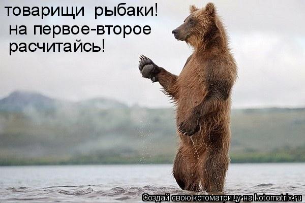 на первое-второе расчитайсь! товарищи рыбаки!... Котоматрица: на первое-второе расчитайсь! товарищи рыбаки!
