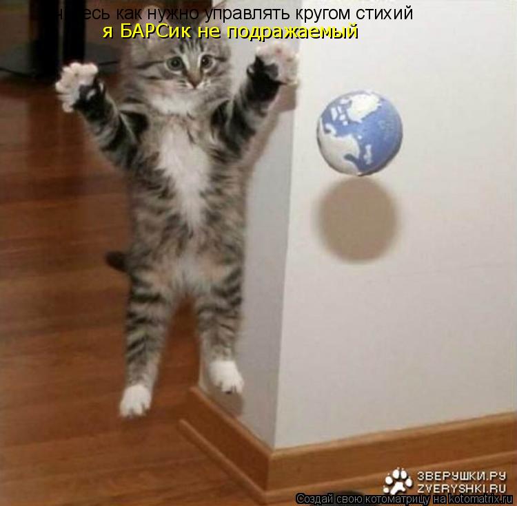 учитесь как нужно управлять кругом стихий я БАРСик не подражаемый... Котоматрица: учитесь как нужно управлять кругом стихий я БАРСик не подражаемый