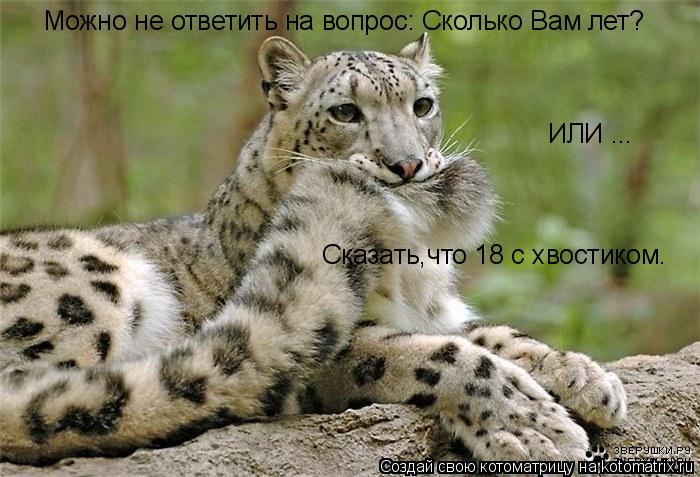 Котоматрица: Можно не ответить на вопрос: Сколько Вам лет? ИЛИ ... Сказать,что 18 с хвостиком.