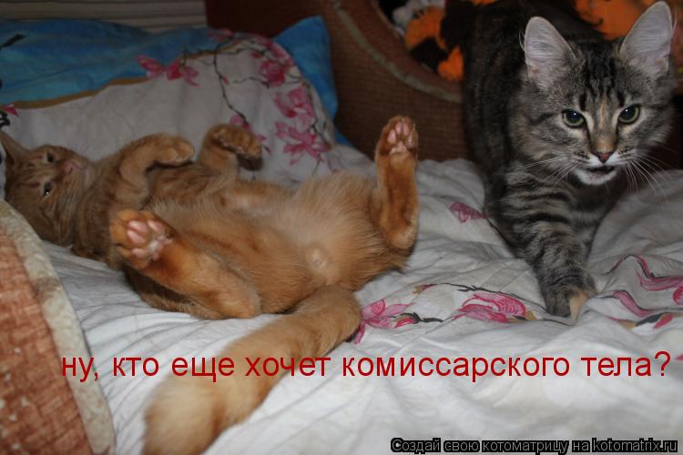 ну, кто еще хочет комиссарского тела?... Котоматрица: ну, кто еще хочет комиссарского тела?