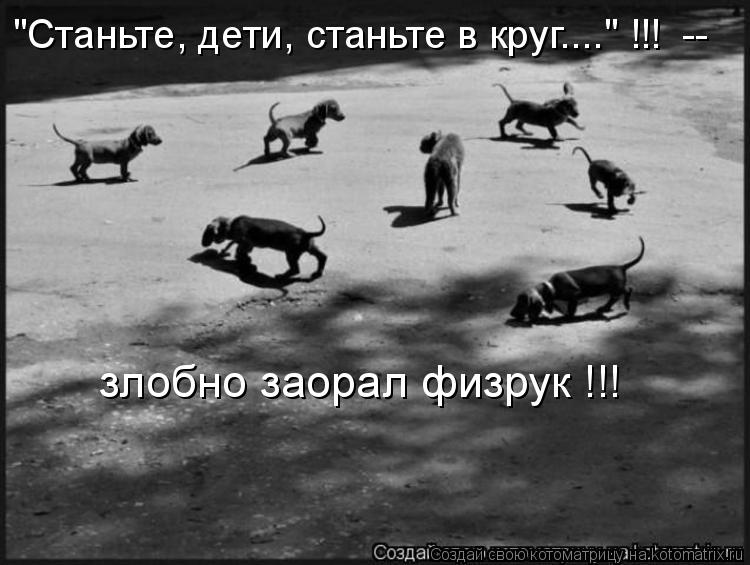 Котоматрица: "Станьте, дети, станьте в круг...." !!!  -- злобно заорал физрук !!!