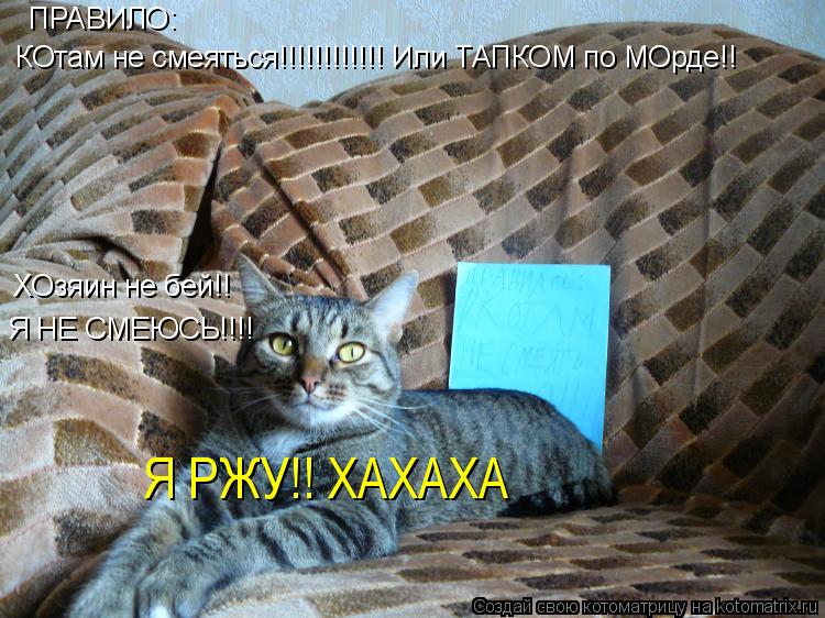 Котоматрица: ПРАВИЛО: КОтам не смеяться!!!!!!!!!!!! Или ТАПКОМ по МОрде!! ХОзяин не бей!! Я НЕ СМЕЮСЬ!!!! Я РЖУ!! ХАХАХА