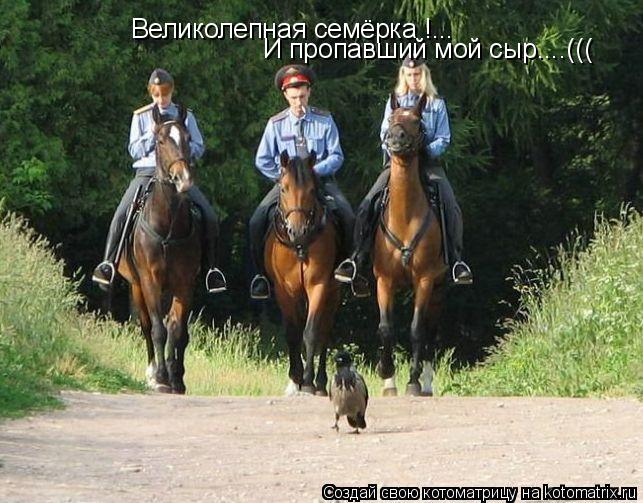 Великолепная семёрка !... И пропавший мой сыр....(((... Котоматрица: Великолепная семёрка !... И пропавший мой сыр....(((