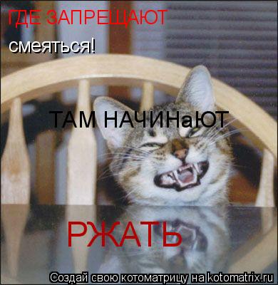 ГДЕ ЗАПРЕЩАЮТ смеяться! ТАМ НАЧИНаЮТ РЖАТЬ... Котоматрица: ГДЕ ЗАПРЕЩАЮТ смеяться! ТАМ НАЧИНаЮТ РЖАТЬ