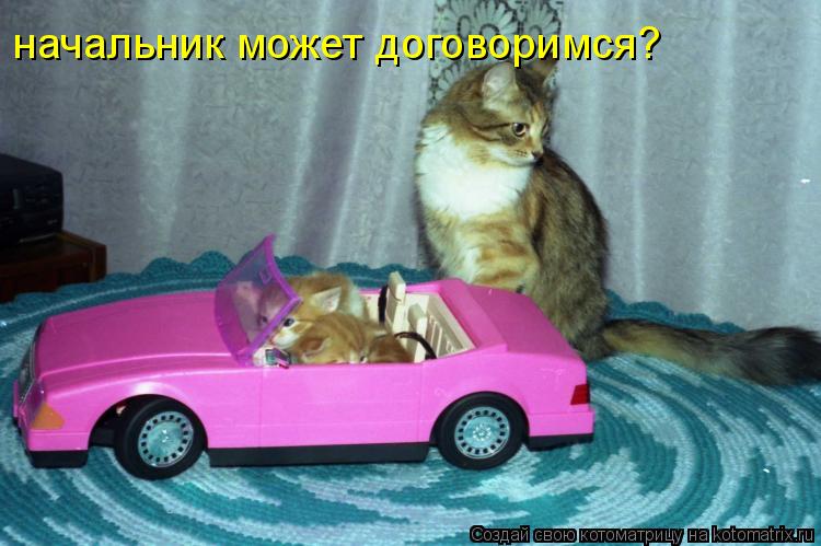 начальник может договоримся?... Котоматрица: начальник может договоримся?