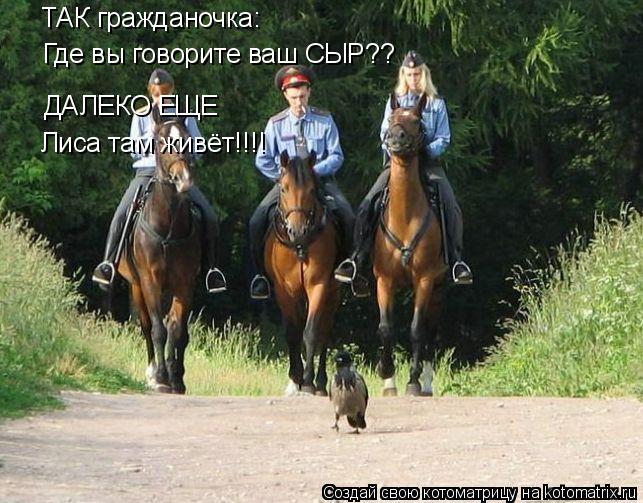 ТАК гражданочка: Где вы говорите ваш СЫР?? ДАЛЕКО ЕЩЕ Лиса там живёт!!!!... Котоматрица: ТАК гражданочка: Где вы говорите ваш СЫР?? ДАЛЕКО ЕЩЕ Лиса там живёт!!!!
