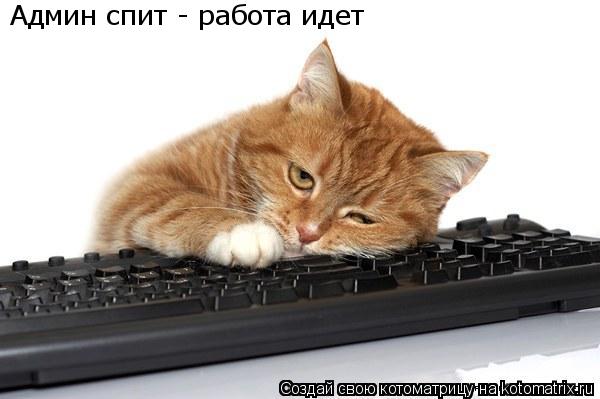 Котоматрица: Админ спит - работа идет
