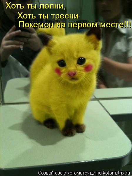Хоть ты лопни, Хоть ты тресни Покемон на первом месте!!!... Котоматрица: Хоть ты лопни, Хоть ты тресни Покемон на первом месте!!!