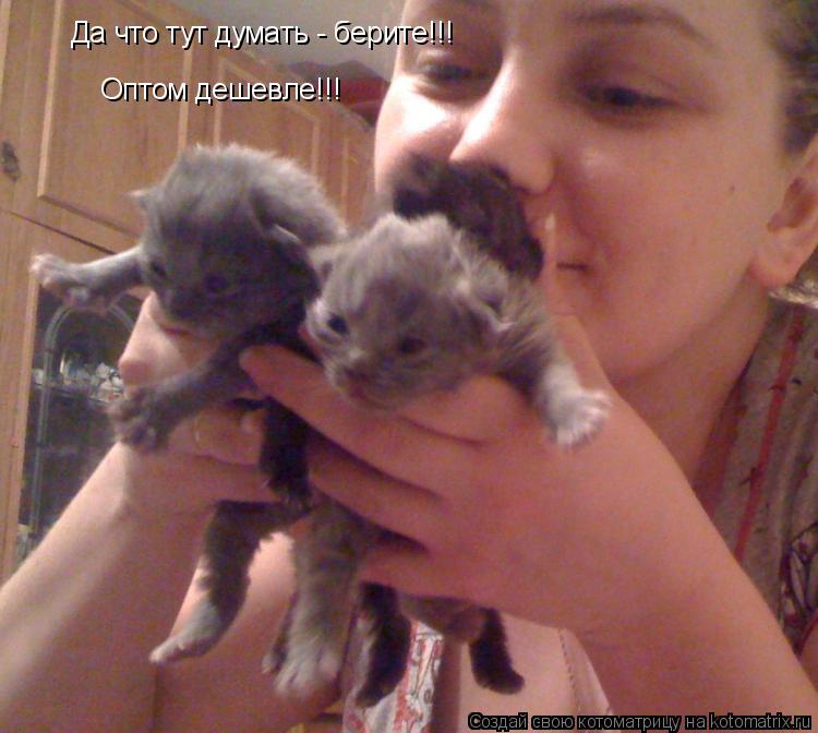 Да что тут думать - берите!!! Оптом дешевле!!!... Котоматрица: Да что тут думать - берите!!! Оптом дешевле!!!
