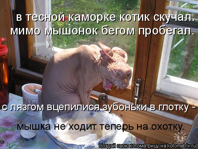 в тесной каморке котик скучал. с лязгом вцепилися зубоньки в глотку - мышка не ходит теперь на охотк... Котоматрица: в тесной каморке котик скучал. с лязгом вцепилися зубоньки в глотку - мышка не ходит теперь на охотку. мимо мышонок бегом пробегал.