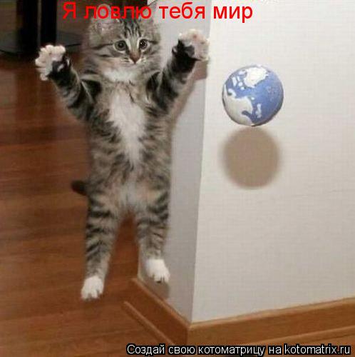 Я ловлю тебя мир... Котоматрица: Я ловлю тебя мир