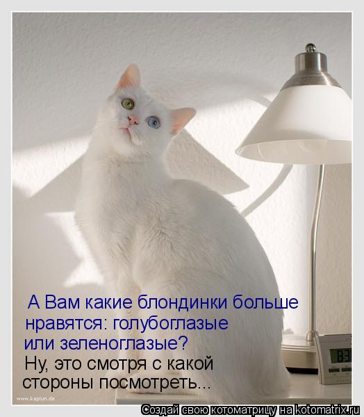 А Вам какие блондинки больше нравятся: голубоглазые или зеленоглазые? Ну, это смотря с какой сторо... Котоматрица: А Вам какие блондинки больше нравятся: голубоглазые или зеленоглазые? Ну, это смотря с какой стороны посмотреть...