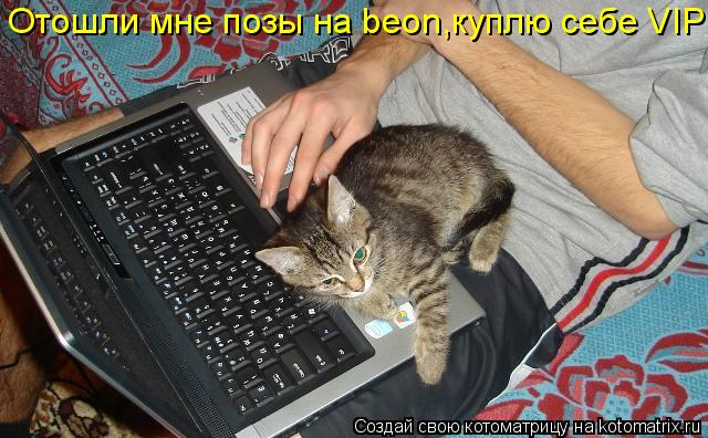 Отошли мне позы на beon,куплю себе VIP... Котоматрица: Отошли мне позы на beon,куплю себе VIP
