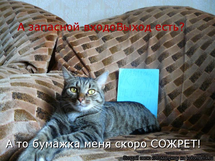 А запасной входоВыход есть? А запасной входоВыход есть? А то бумажка меня скоро СОЖРЕТ!... Котоматрица: А запасной входоВыход есть? А запасной входоВыход есть? А то бумажка меня скоро СОЖРЕТ!