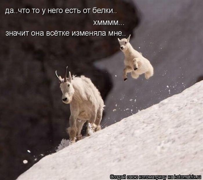 да..что то у него есть от белки.. хмммм... значит она всётке изменяла мне..... Котоматрица: да..что то у него есть от белки.. хмммм... значит она всётке изменяла мне..