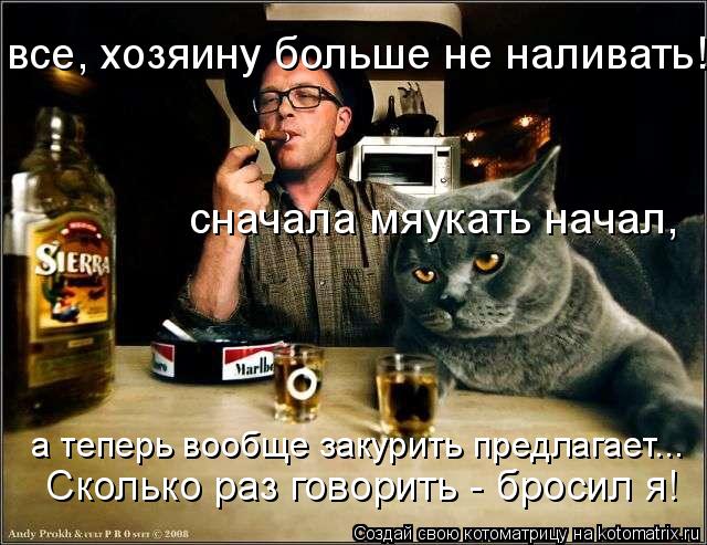 Котоматрица: все, хозяину больше не наливать! сначала мяукать начал,  а теперь вообще закурить предлагает... Сколько раз говорить - бросил я!