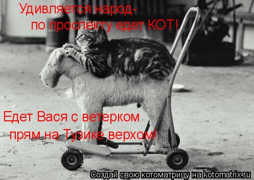 Едет Вася с ветерком прям на Тузике верхом! Удивляется народ- по проспекту едет КОТ!... Котоматрица: Едет Вася с ветерком прям на Тузике верхом! Удивляется народ- по проспекту едет КОТ!