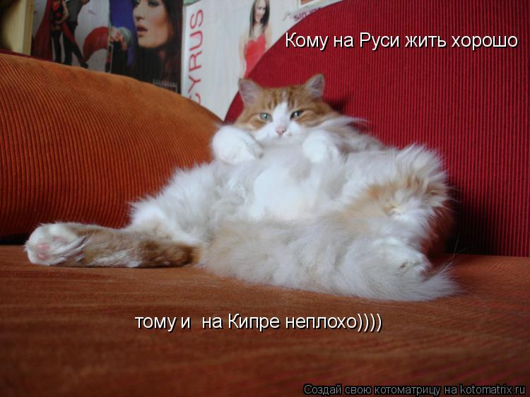 Кому на Руси жить хорошо тому и на Кипре неплохо))))... Котоматрица: Кому на Руси жить хорошо тому и на Кипре неплохо))))