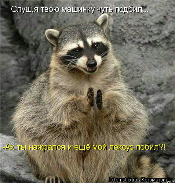 Слуш,я твою машинку чуть подбил... -Ах ты нажрался и ещё мой лексус побил?!... Котоматрица: Слуш,я твою машинку чуть подбил... -Ах ты нажрался и ещё мой лексус побил?!