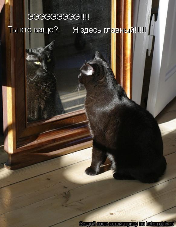 ЭЭЭЭЭЭЭЭЭ!!!! Ты кто ваще? Я здесь главный!!!!!... Котоматрица: ЭЭЭЭЭЭЭЭЭ!!!! Ты кто ваще? Я здесь главный!!!!!