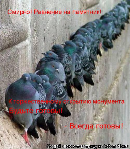 К торжественному открытию монумента Будьте готовы! - Всегда готовы! Смирно! Равнение на памятник!... Котоматрица: К торжественному открытию монумента Будьте готовы! - Всегда готовы! Смирно! Равнение на памятник!