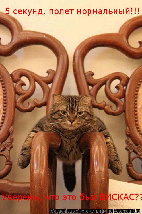 5 секунд, полет нормальный!!! Уверены, что это был ВИСКАС????... Котоматрица: 5 секунд, полет нормальный!!! Уверены, что это был ВИСКАС????