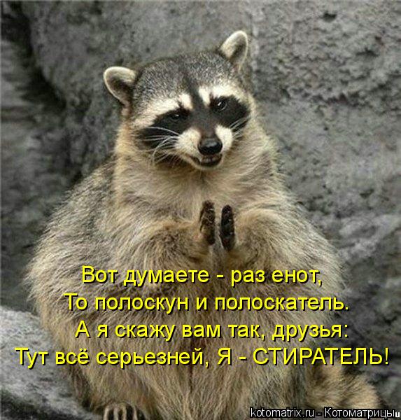 Вот думаете - раз енот, То полоскун и полоскатель. Тут всё серьезней, Я - СТИРАТЕЛЬ! А я скажу вам т... Котоматрица: Вот думаете - раз енот, То полоскун и полоскатель. Тут всё серьезней, Я - СТИРАТЕЛЬ! А я скажу вам так, друзья:
