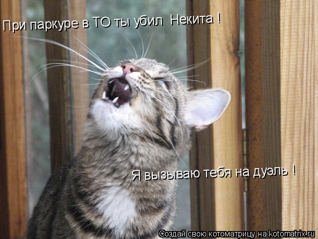 При паркуре в ТО ты убил Некита ! Я вызываю тебя на дуэль !... Котоматрица: При паркуре в ТО ты убил Некита ! Я вызываю тебя на дуэль !