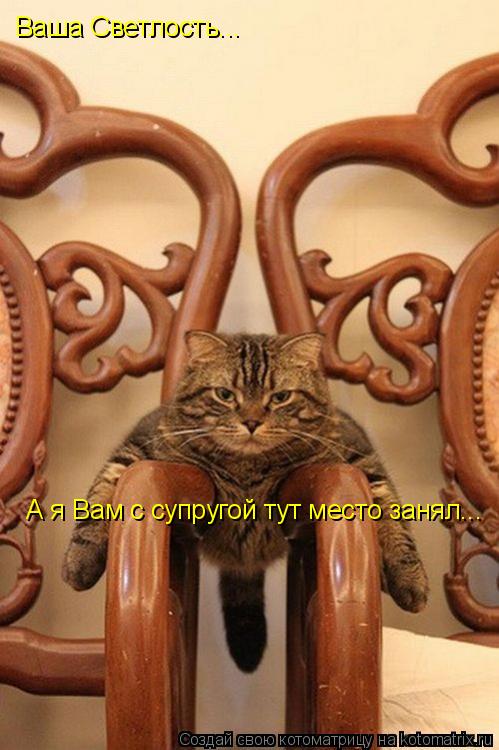 Ваша Светлость... А я Вам с супругой тут место занял...... Котоматрица: Ваша Светлость... А я Вам с супругой тут место занял...
