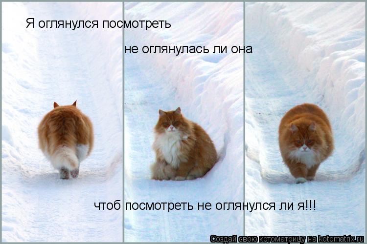 Я оглянулся посмотреть не оглянулась ли она чтоб посмотреть не оглянулся ли я!!!... Котоматрица: Я оглянулся посмотреть не оглянулась ли она чтоб посмотреть не оглянулся ли я!!!