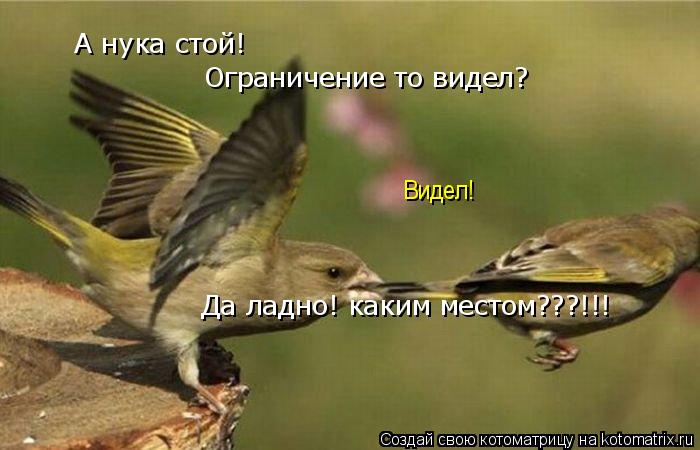 А нука стой! Ограничение то видел? Видел! Да ладно! каким местом???!!!... Котоматрица: А нука стой! Ограничение то видел? Видел! Да ладно! каким местом???!!!