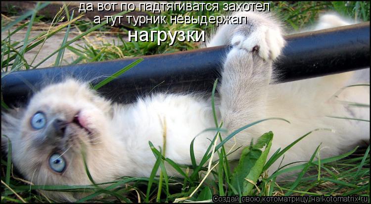 да вот по падтягиватся захотел а тут турник невыдержал нагрузки... Котоматрица: да вот по падтягиватся захотел а тут турник невыдержал нагрузки