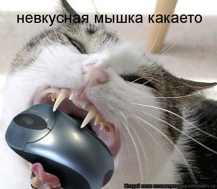 невкусная мышка какаето... Котоматрица: невкусная мышка какаето