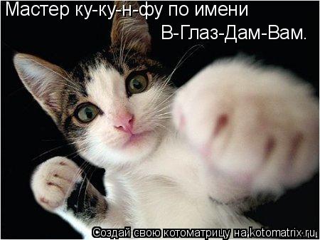 Мастер ку-ку-н-фу по имени В-Глаз-Дам-Вам.... Котоматрица: Мастер ку-ку-н-фу по имени В-Глаз-Дам-Вам.