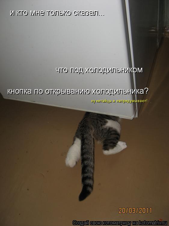 и кто мне только сказал... что под холодильником кнопка по открыванию холодильника? ну китайцы и напр... Котоматрица: и кто мне только сказал... что под холодильником кнопка по открыванию холодильника? ну китайцы и напридумывают!