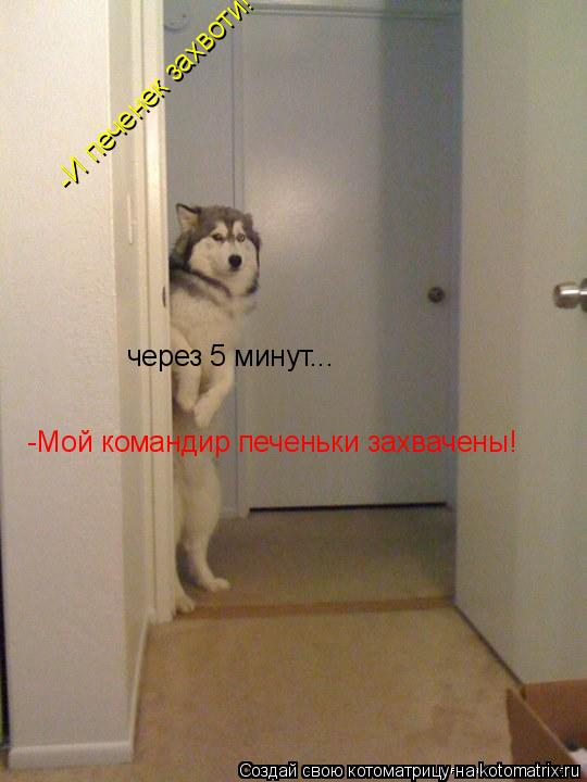 -И печенек захвоти! через 5 минут... -Мой командир печеньки захвачены!... Котоматрица: -И печенек захвоти! через 5 минут... -Мой командир печеньки захвачены!