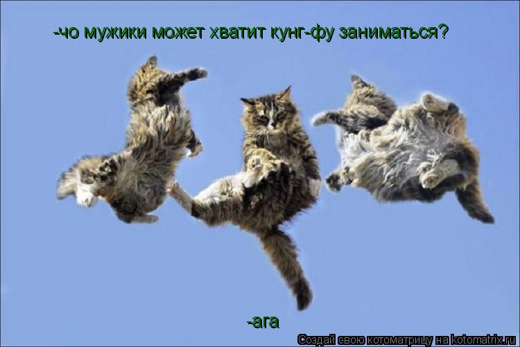 -чо мужики может хватит кунг-фу заниматься? -ага... Котоматрица: -чо мужики может хватит кунг-фу заниматься? -ага