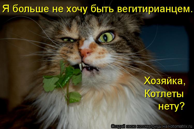 Я больше не хочу быть вегитирианцем... Я больше не хочу быть вегитирианцем... Хозяйка, Котлеты нету?... Котоматрица: Я больше не хочу быть вегитирианцем... Я больше не хочу быть вегитирианцем... Хозяйка, Котлеты нету?